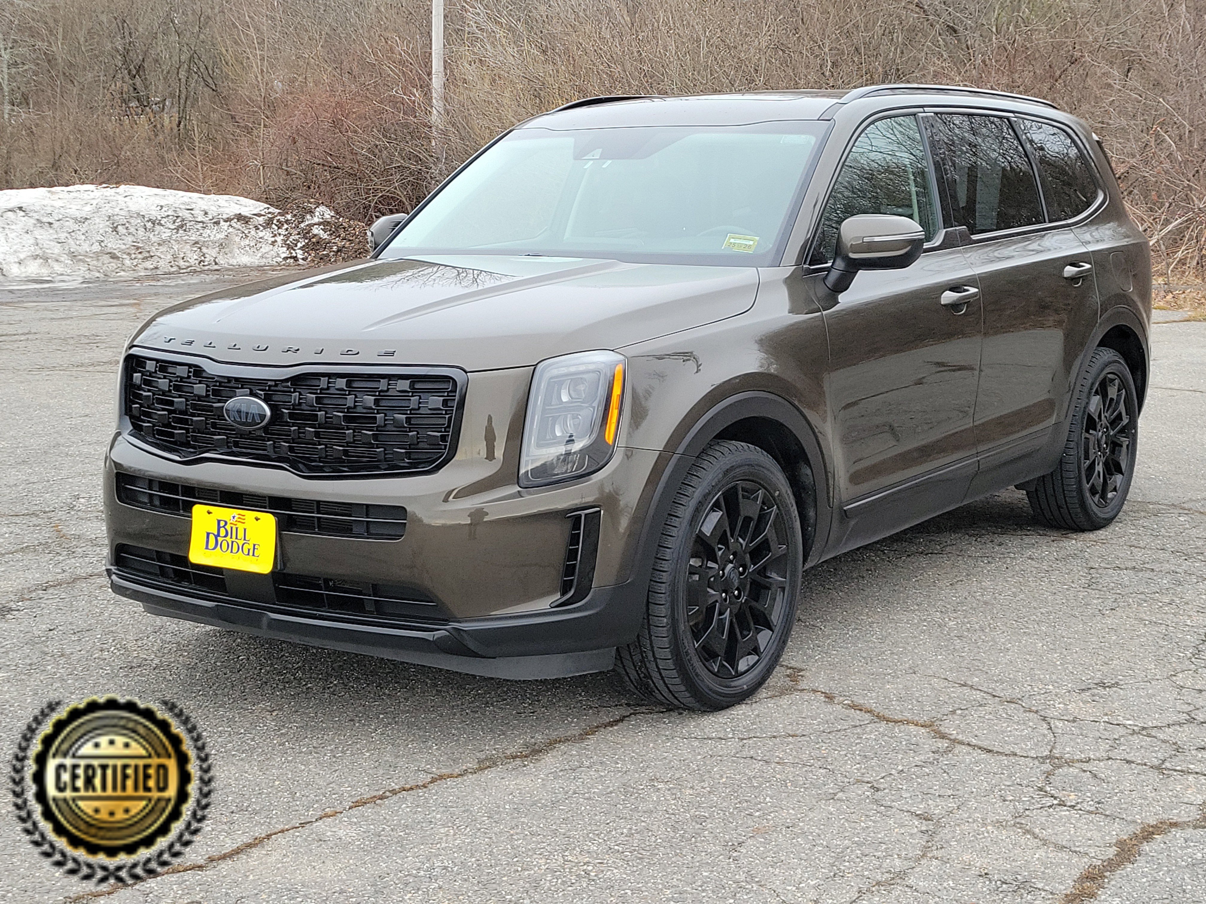 Used 2021 Kia Telluride EX w/ EX Premium Package image 1
