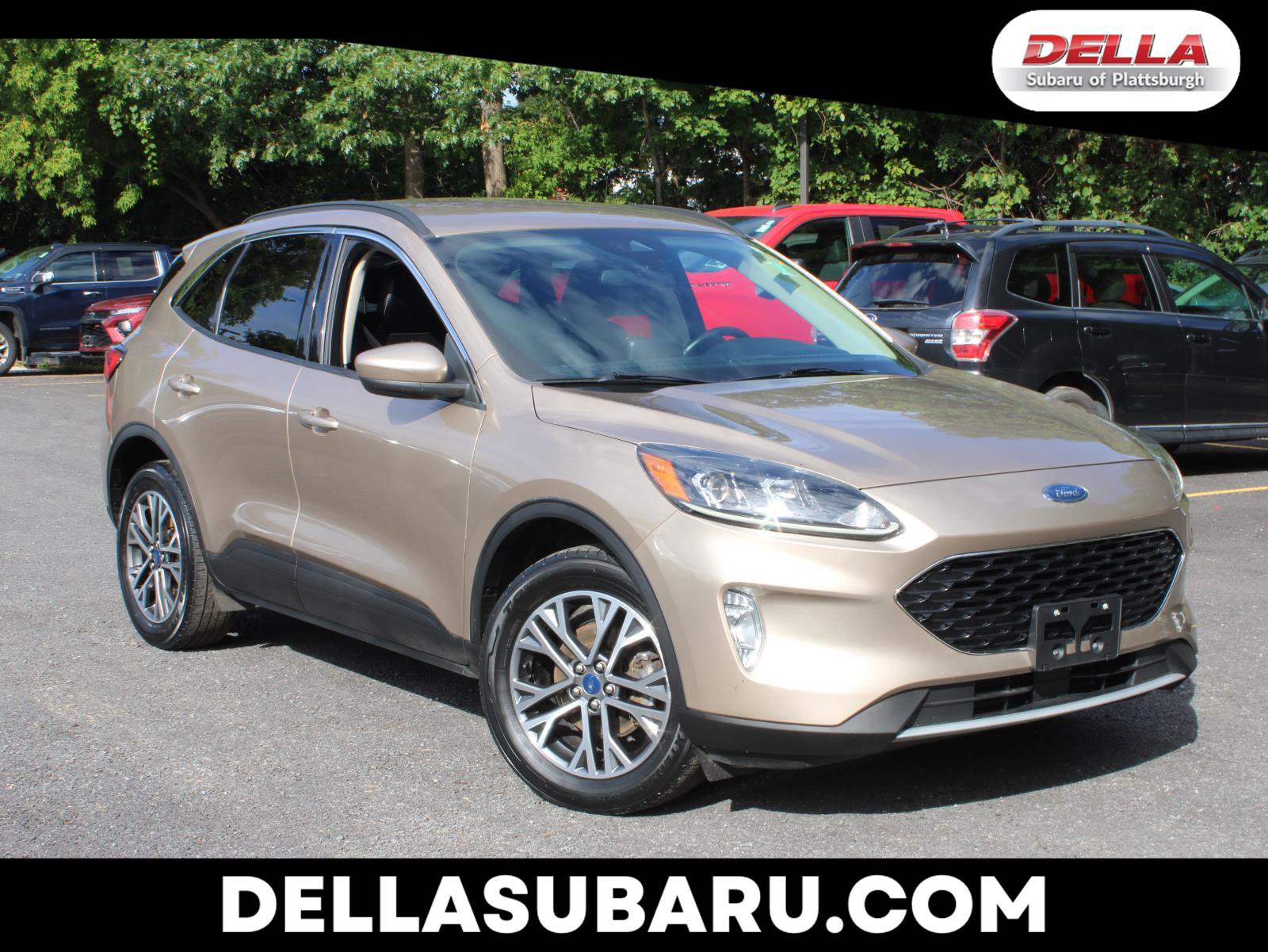 Used 2020 Ford Escape SEL