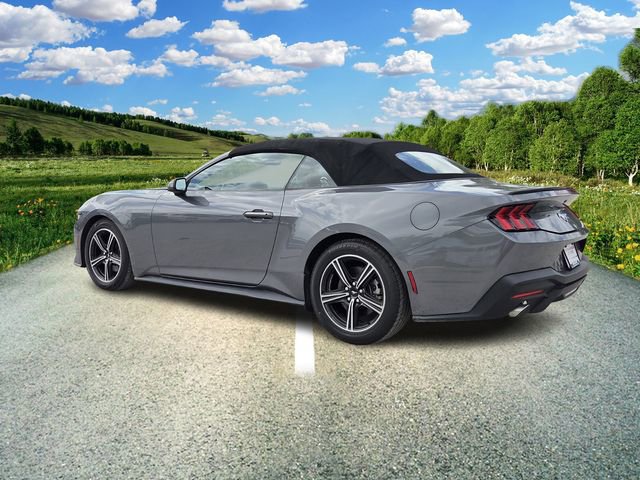 Used 2024 Ford Mustang Premium RWD image 4
