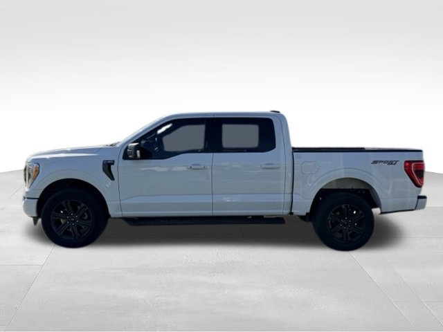 Used 2023 Ford F150 XLT w/ Equipment Group 302A High AWD/4WD image 5