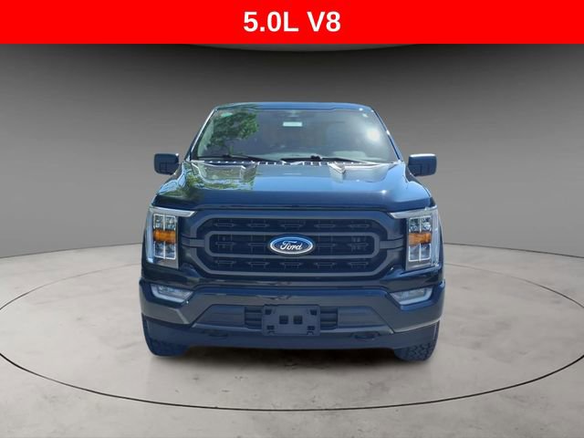 Used 2023 Ford F150 XLT w/ Equipment Group 302A High AWD/4WD image 15