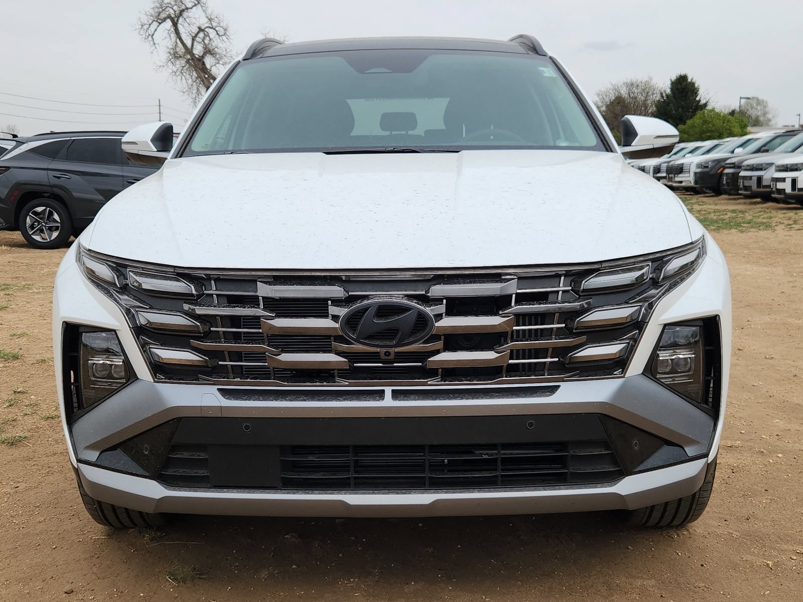 New 2026 Hyundai Tucson Limited AWD/4WD image 8
