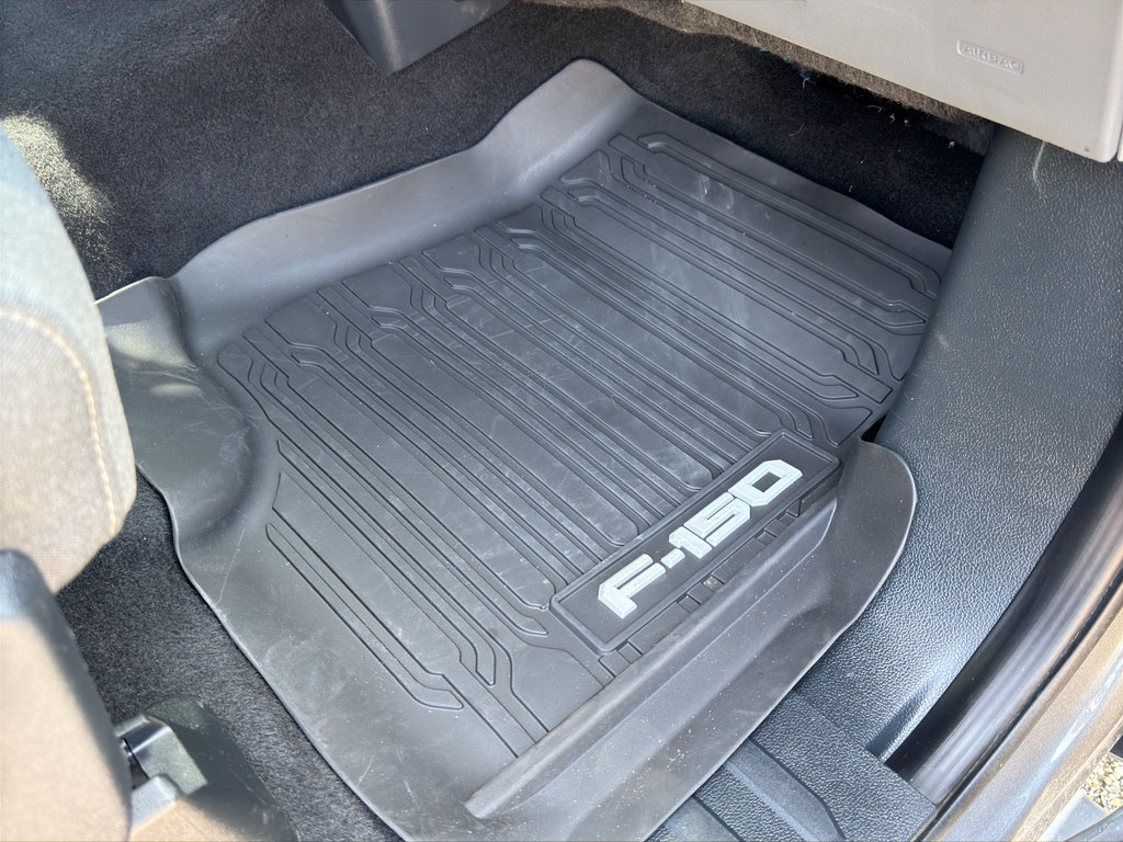Used 2025 Ford F150 XLT w/ Equipment Group 301A Standard AWD/4WD image 41