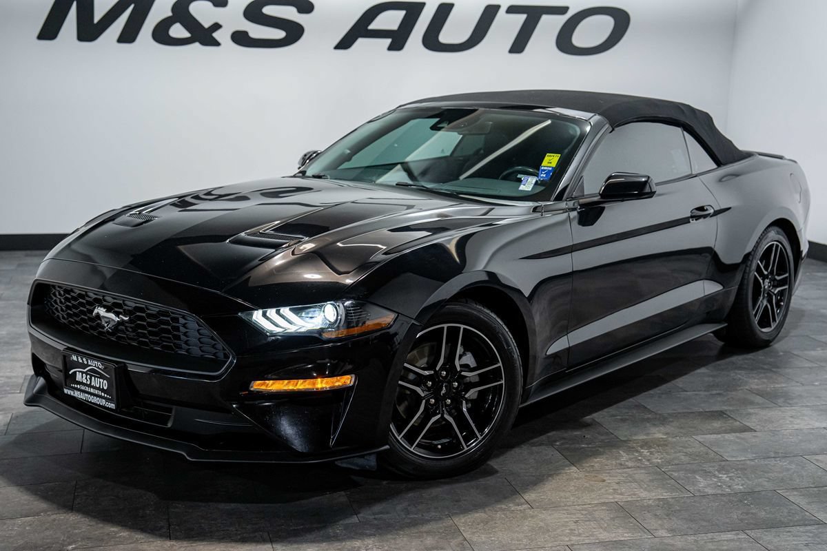 Used 2023 Ford Mustang Premium RWD image 2