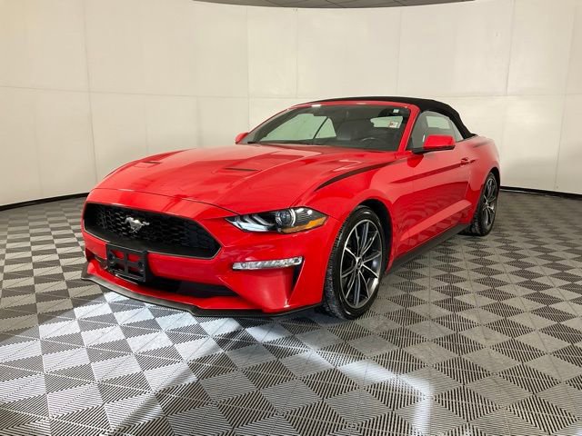 Used 2019 Ford Mustang Premium w/ Equipment Group 201A