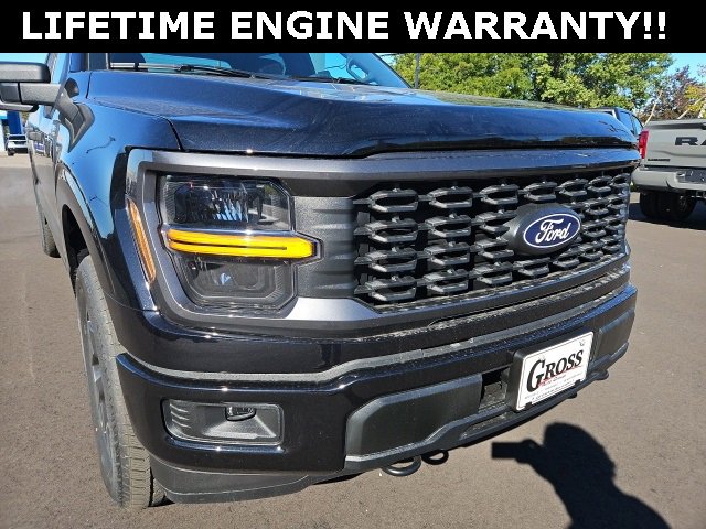 New 2025 Ford F150 STX image 11