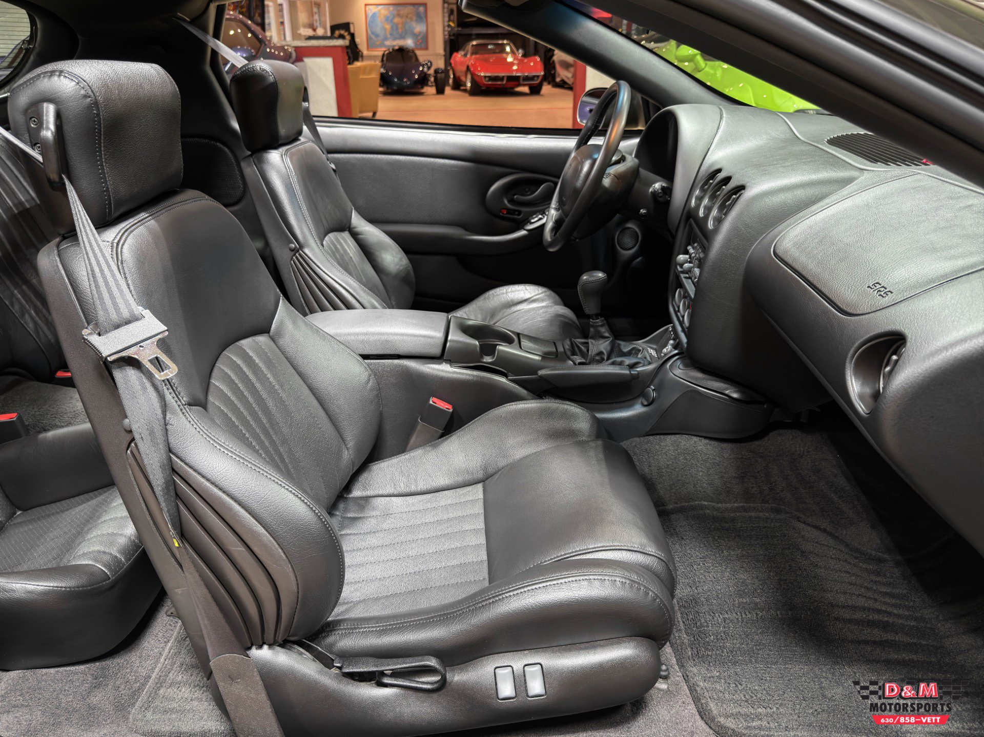 Used 2002 Pontiac Firebird Trans Am image 12