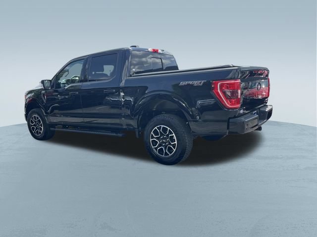 Used 2023 Ford F150 XLT w/ Equipment Group 302A High AWD/4WD image 8