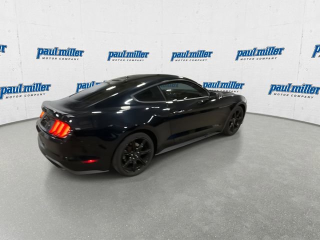 Used 2019 Ford Mustang EcoBoost w/ Black Accent Package image 12