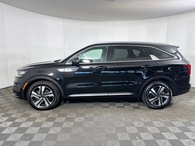 Used 2024 Kia Sorento EX image 6