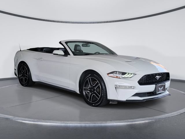 Used 2019 Ford Mustang Premium