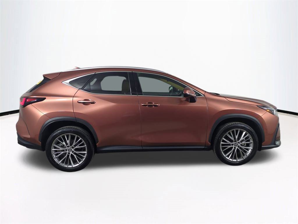 Used 2025 Lexus NX 350h AWD w/ Premium Package image 4