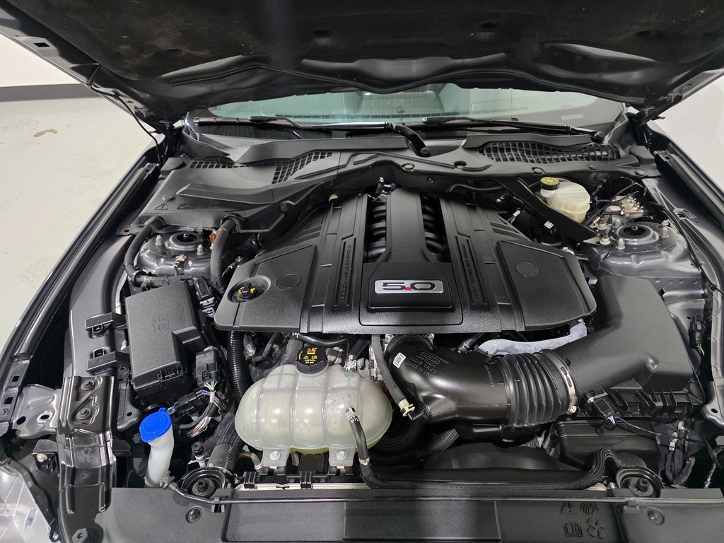 Used 2021 Ford Mustang GT Premium w/ Carbon Sport Interior Package image 11