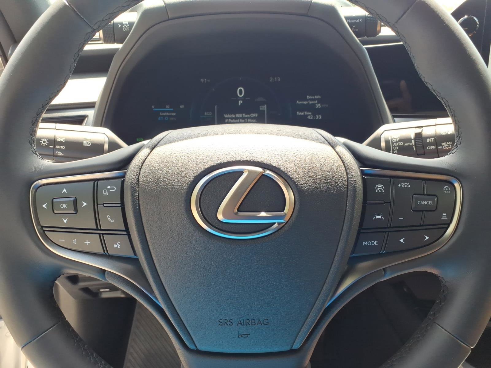 Used 2025 Lexus UX 300h AWD w/ Cold Area Package image 8