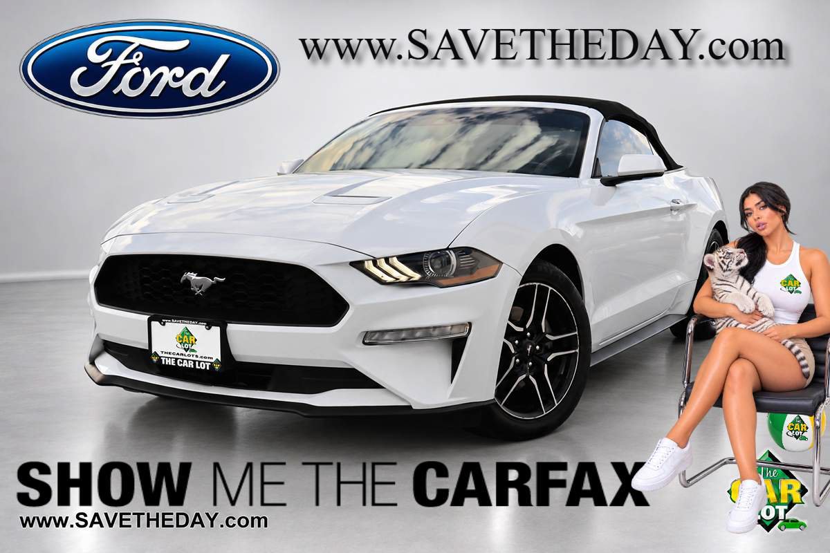 Used 2023 Ford Mustang Premium RWD image 1