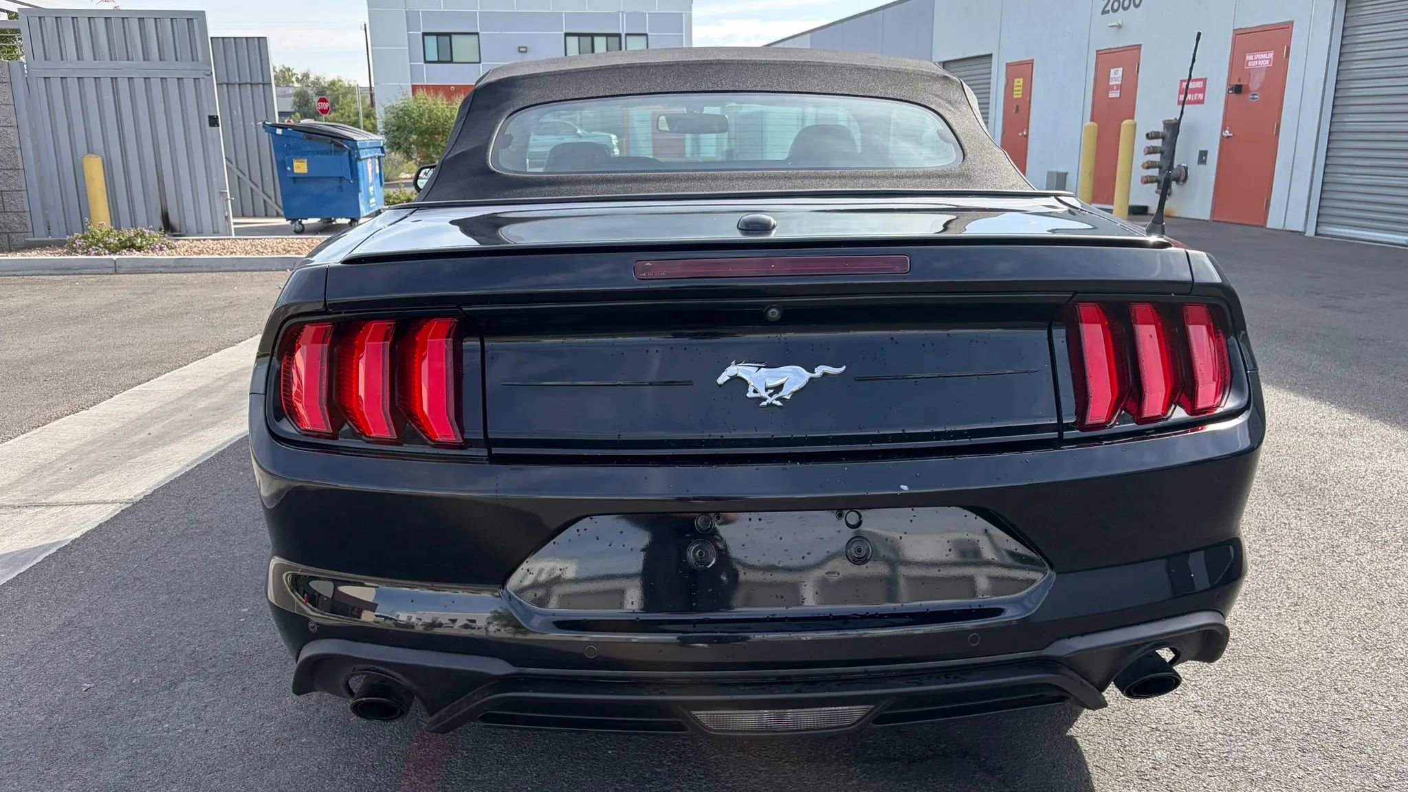 Used 2019 Ford Mustang Premium RWD image 4