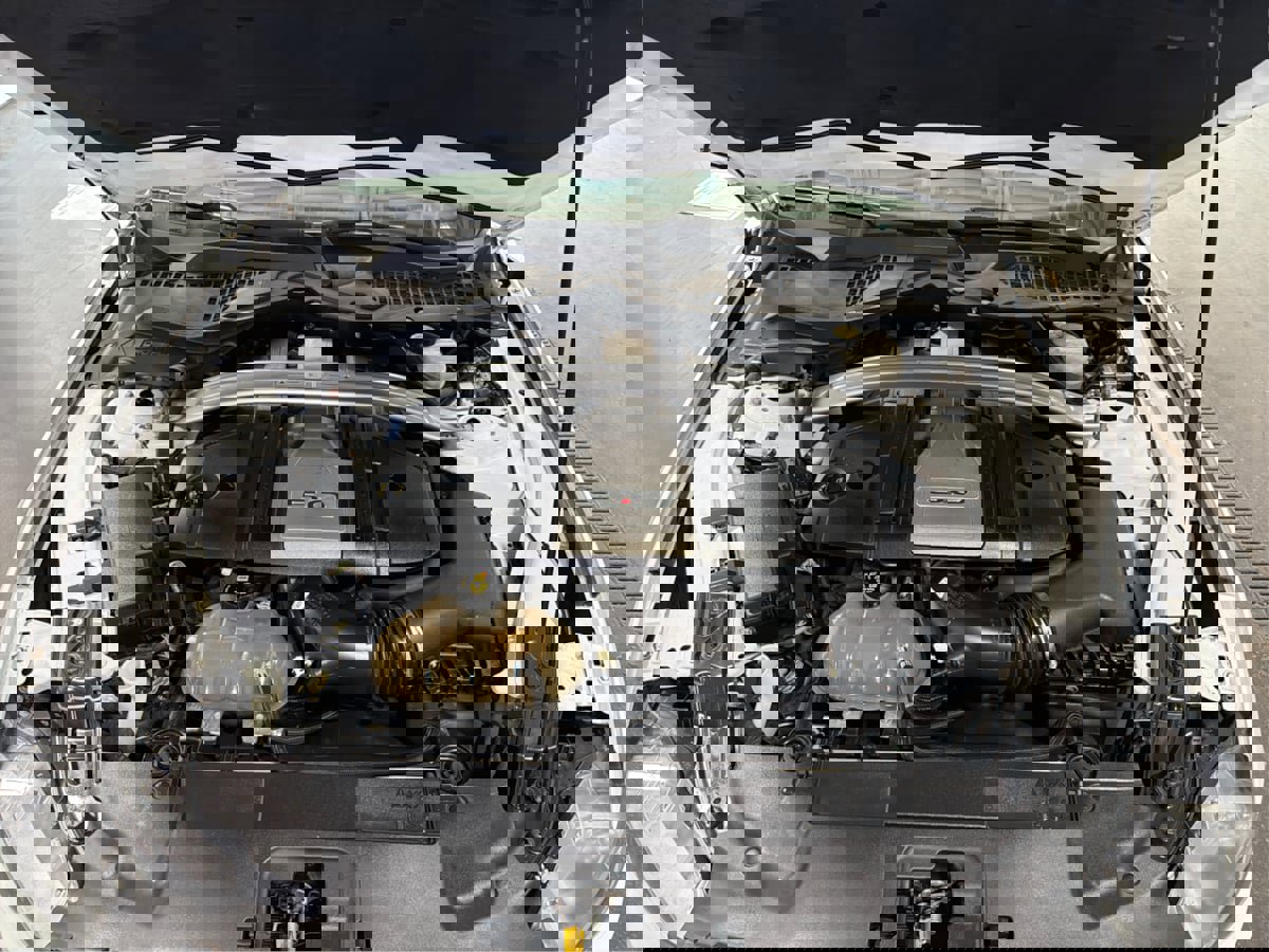 Used 2019 Ford Mustang GT Premium w/ Equipment Group 401A RWD image 11