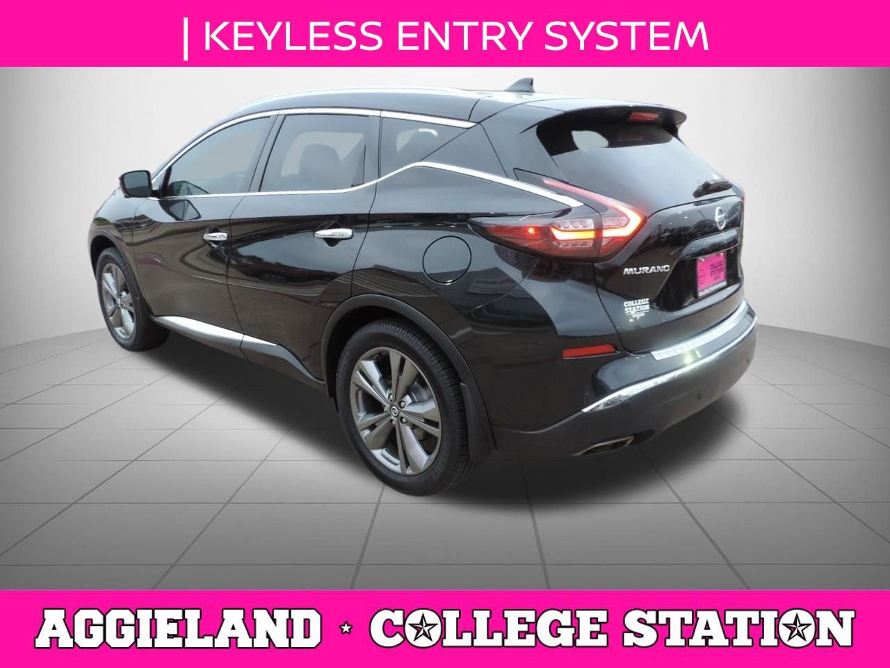 Used 2019 Nissan Murano Platinum FWD image 6