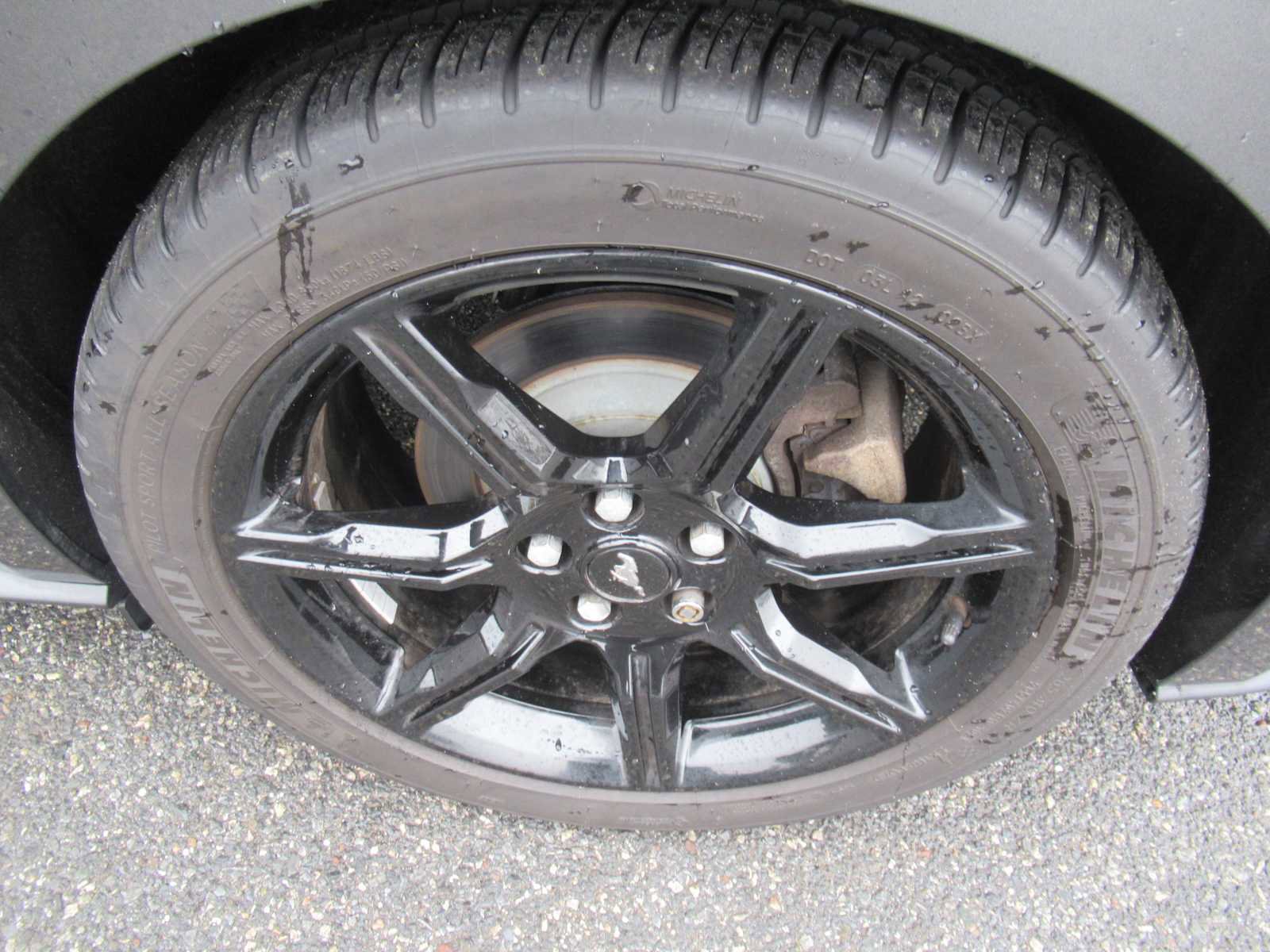 Used 2018 Ford Mustang EcoBoost w/ Equipment Group 101A image 9