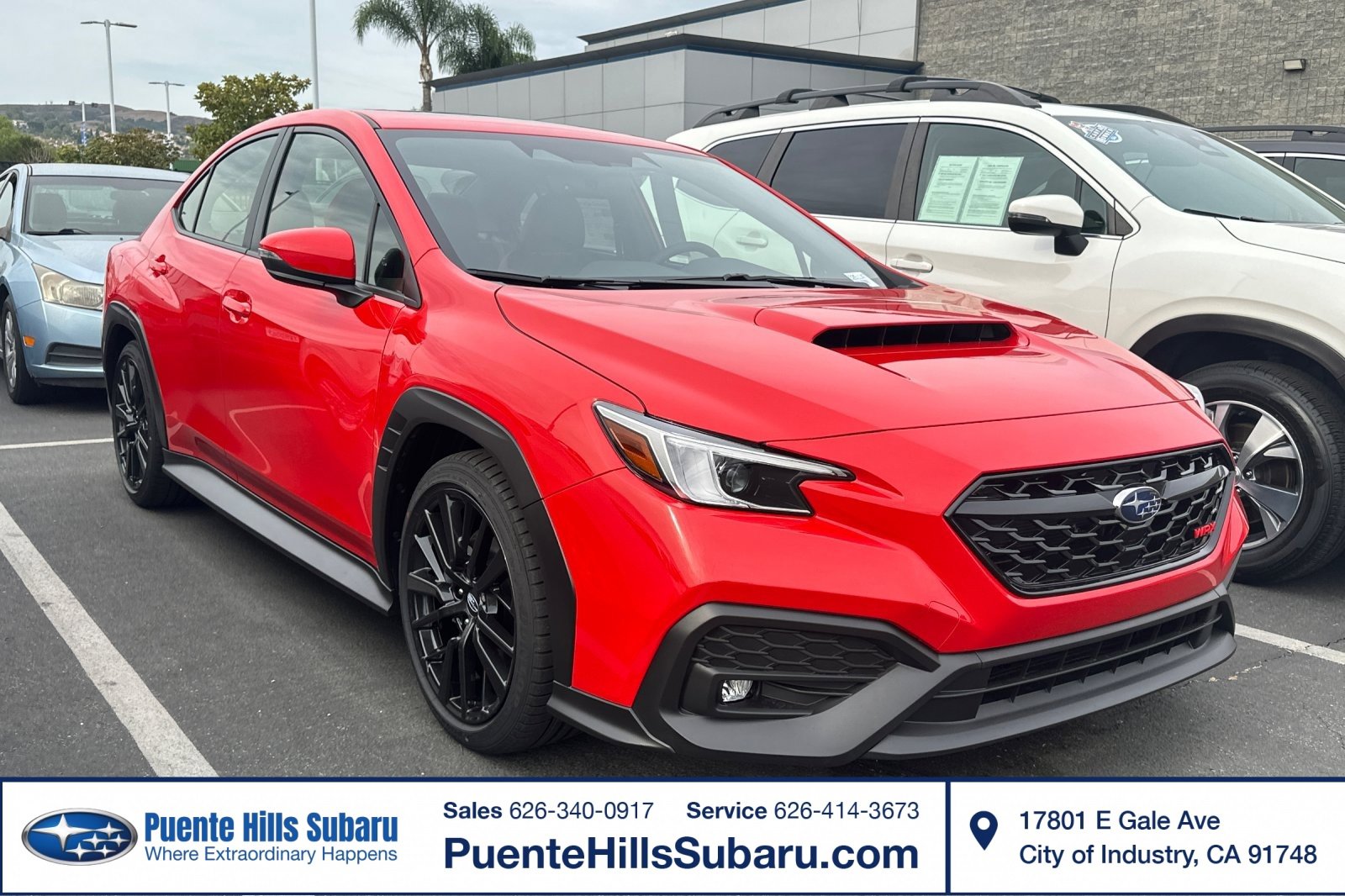 New 2025 Subaru WRX Limited