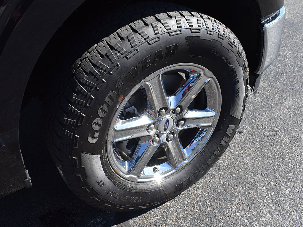 Used 2025 Ford F150 XLT w/ Equipment Group 301A Standard AWD/4WD image 8