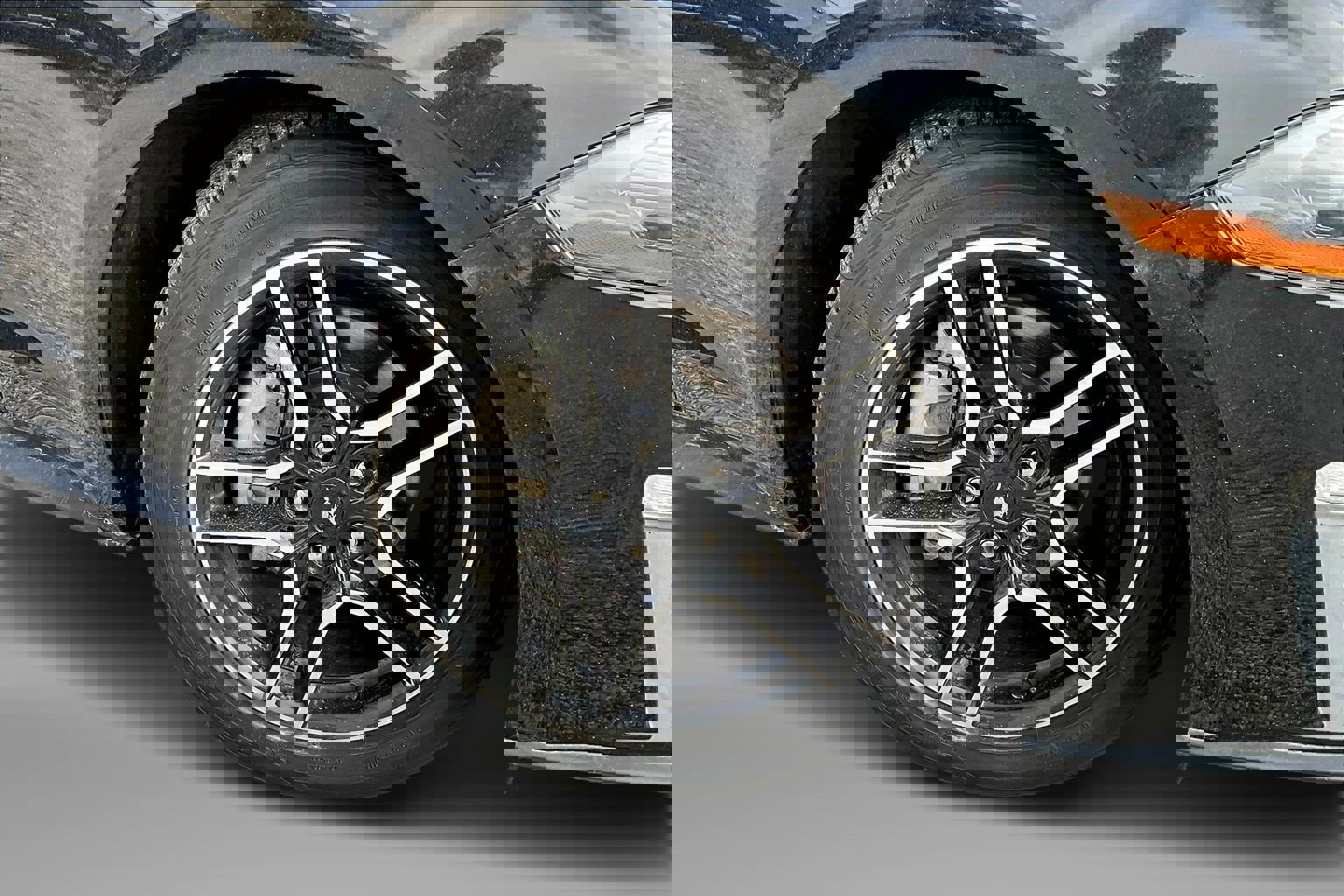 Used 2020 Ford Mustang Coupe w/ Equipment Group 101A image 8