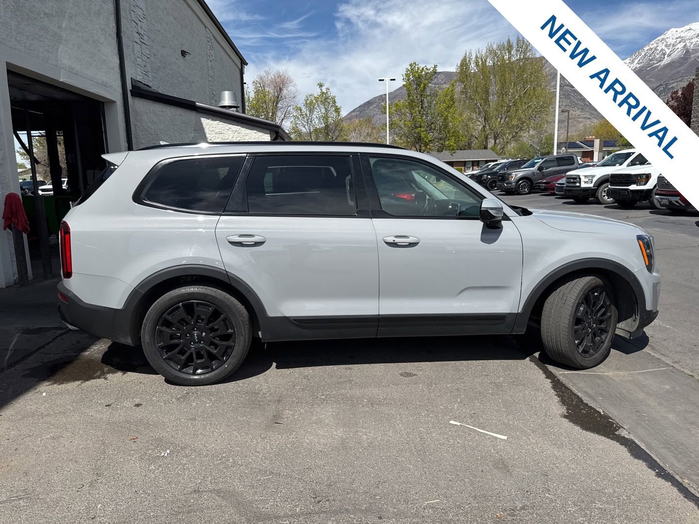 Used 2022 Kia Telluride SX w/ SX Prestige Package image 8