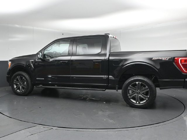 Certified 2023 Ford F150 XLT w/ Equipment Group 302A High AWD/4WD image 5