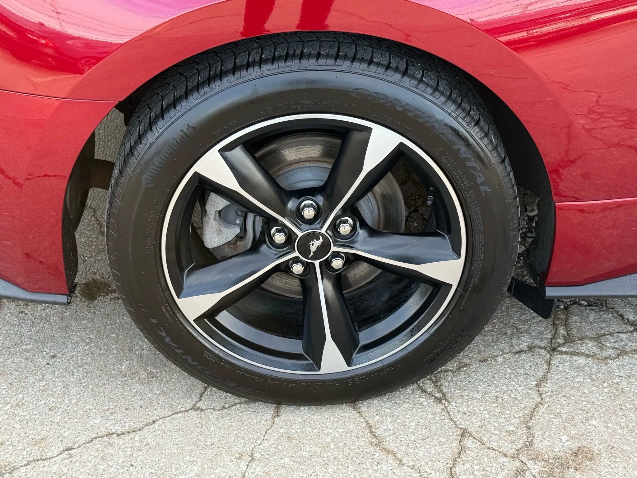 Used 2019 Ford Mustang Coupe w/ Equipment Group 101A image 42