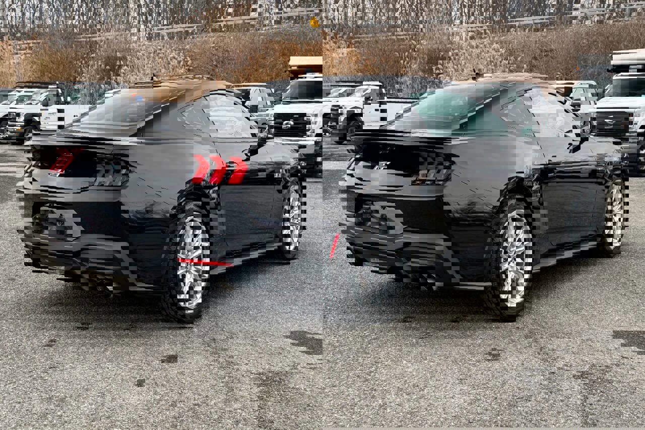 Used 2024 Ford Mustang GT Premium image 3