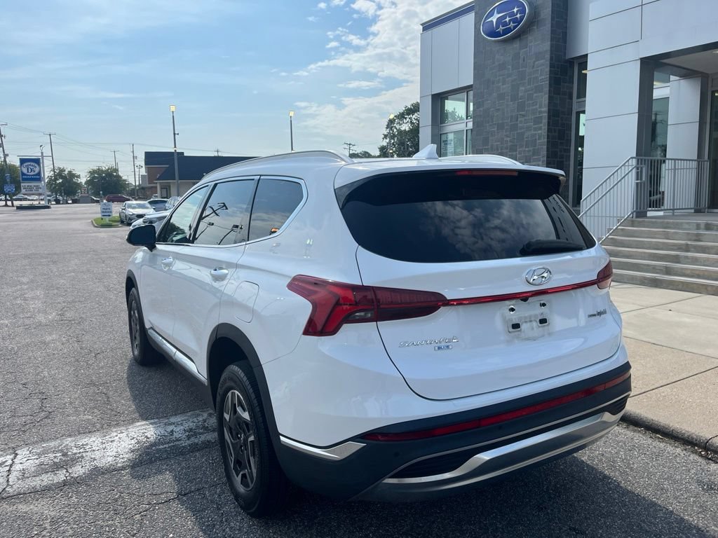 Used 2023 Hyundai Santa Fe Blue AWD/4WD image 6