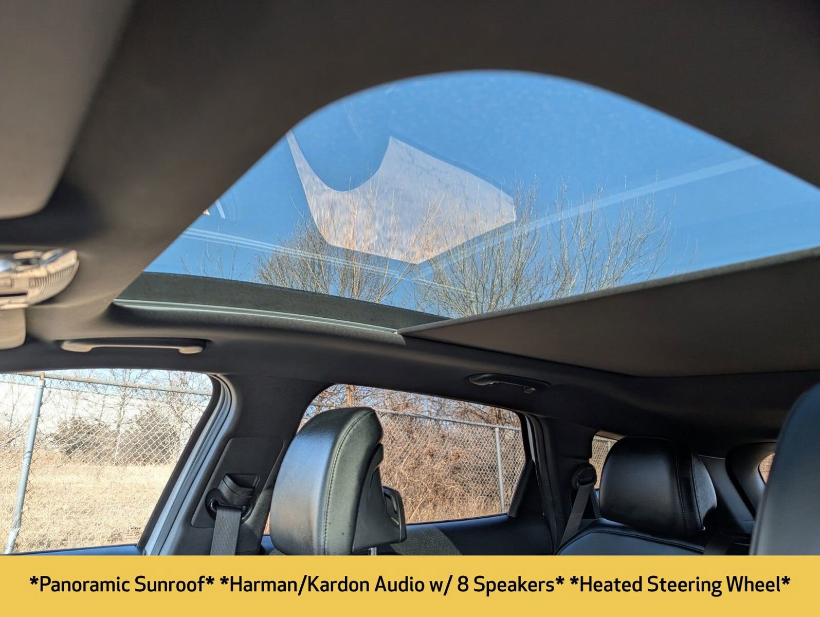 Used 2023 Kia Sportage X-Pro Prestige image 5