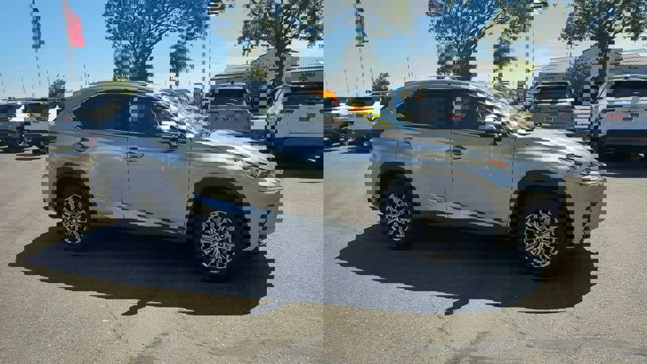 Used 2020 Lexus NX 300h 300h 4D Sport Utility image 1