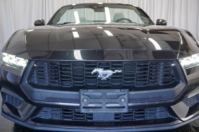 Used 2024 Ford Mustang Premium image 3