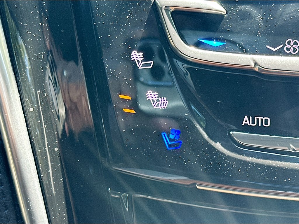 Used 2020 Cadillac Escalade Premium Luxury AWD/4WD image 21