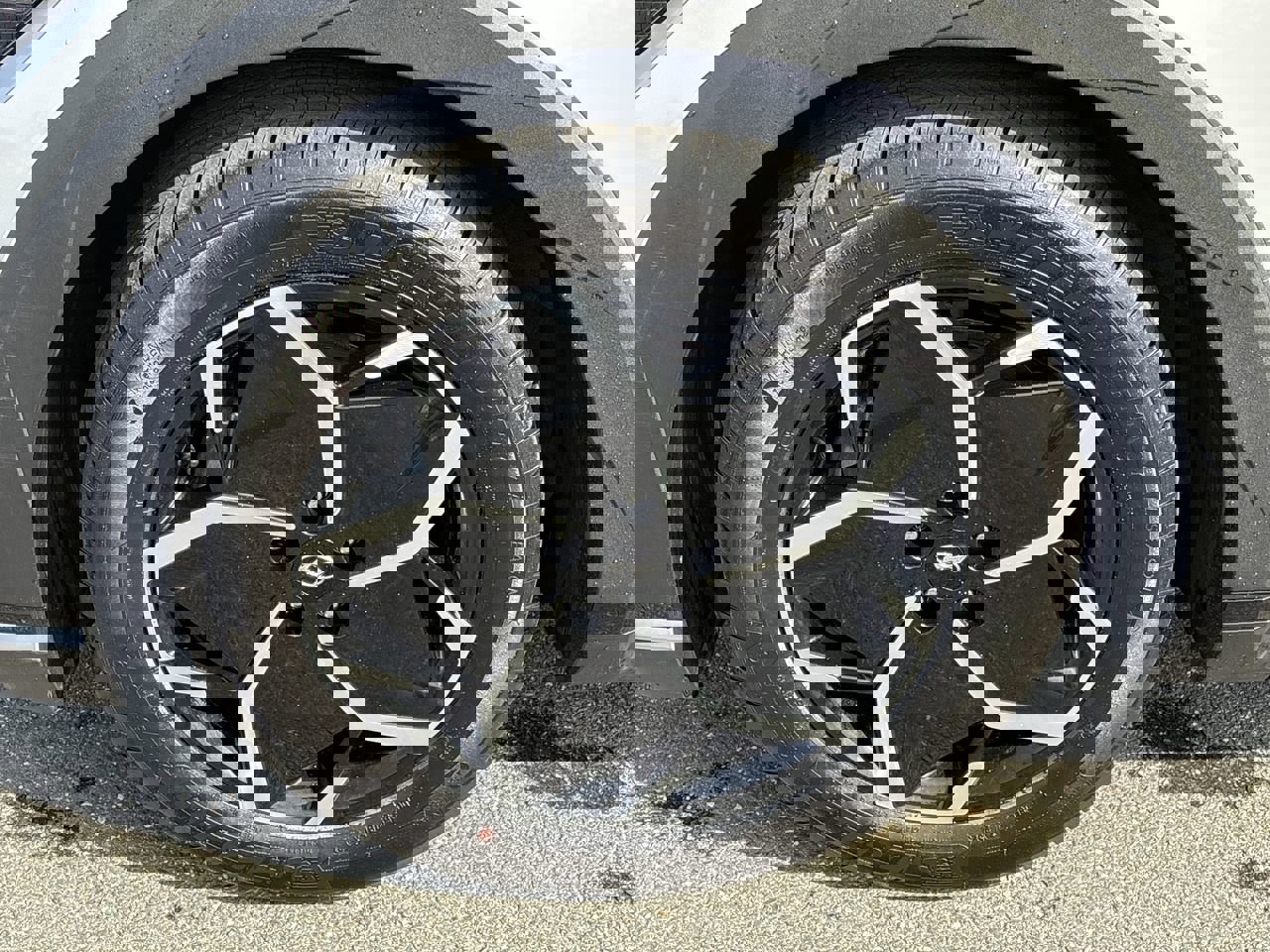 Certified 2024 Hyundai Ioniq 5 SEL image 10