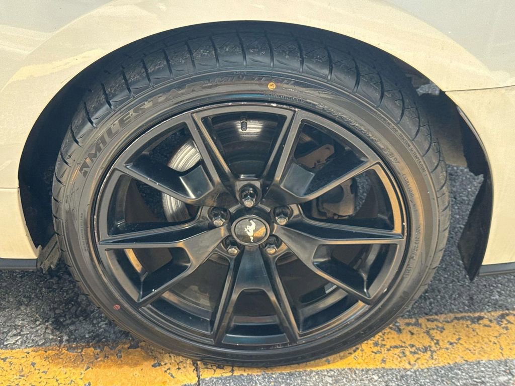 Used 2017 Ford Mustang GT Premium w/ Equipment Group 401A image 5