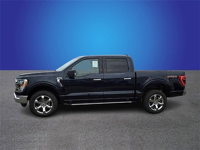 New 2023 Ford F150 XLT w/ Equipment Group 302A High image 4