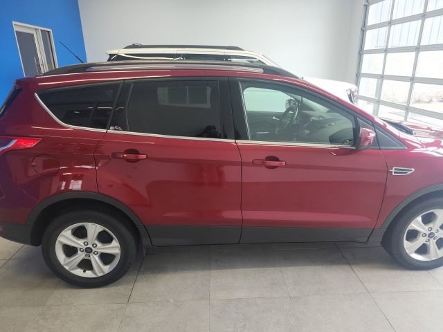 Used 2014 Ford Escape SE w/ Equipment Group 201A image 4