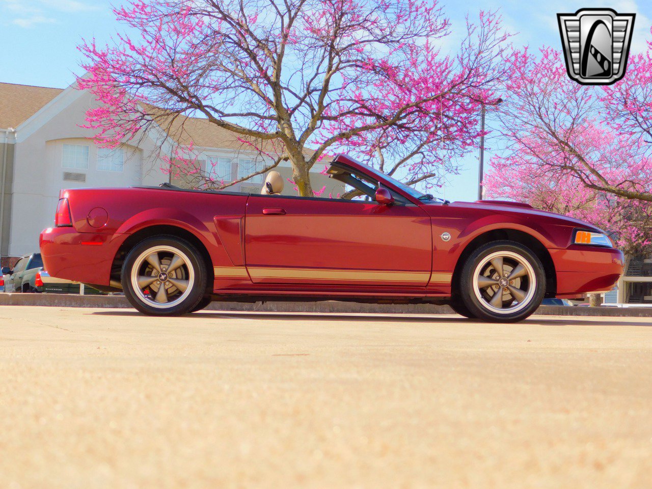 Used 2004 Ford Mustang GT image 6