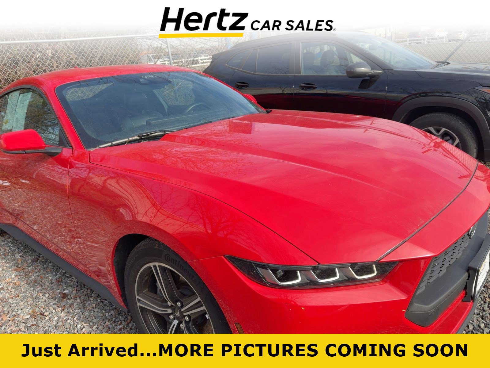 Used 2024 Ford Mustang Premium