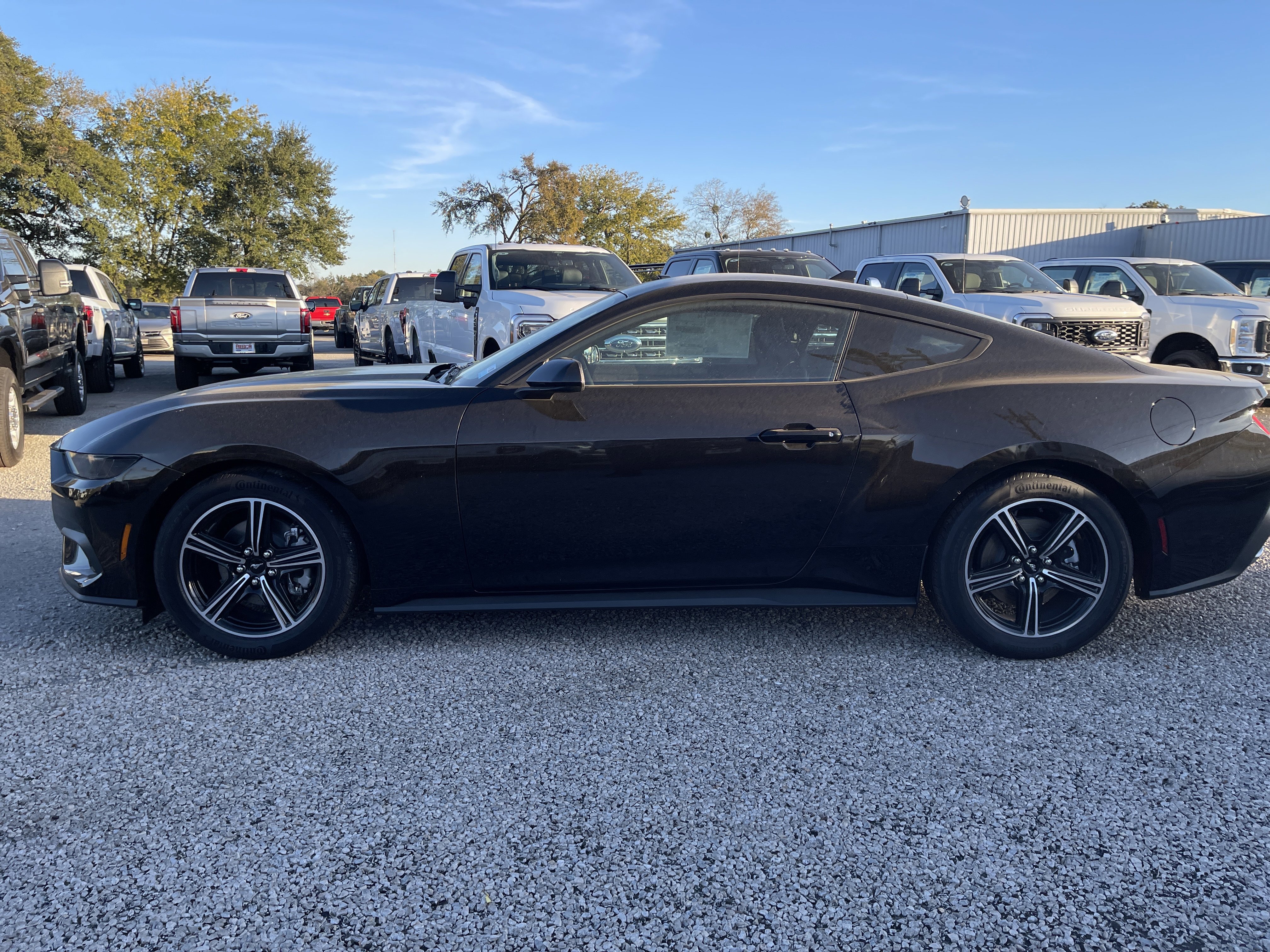 New 2025 Ford Mustang Coupe image 7