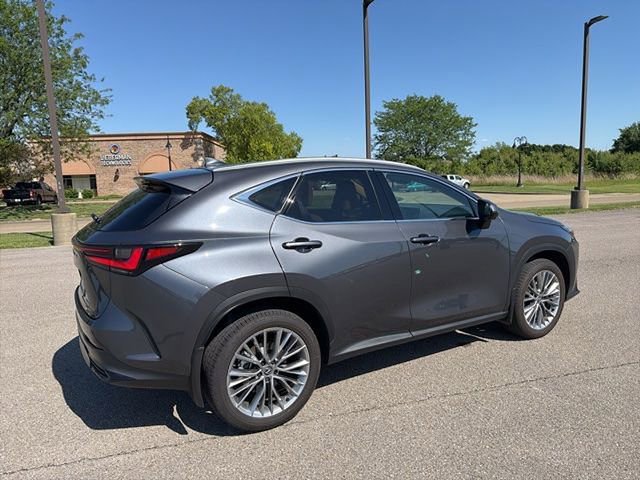 Used 2025 Lexus NX 350 AWD w/ Cold Area Package image 14