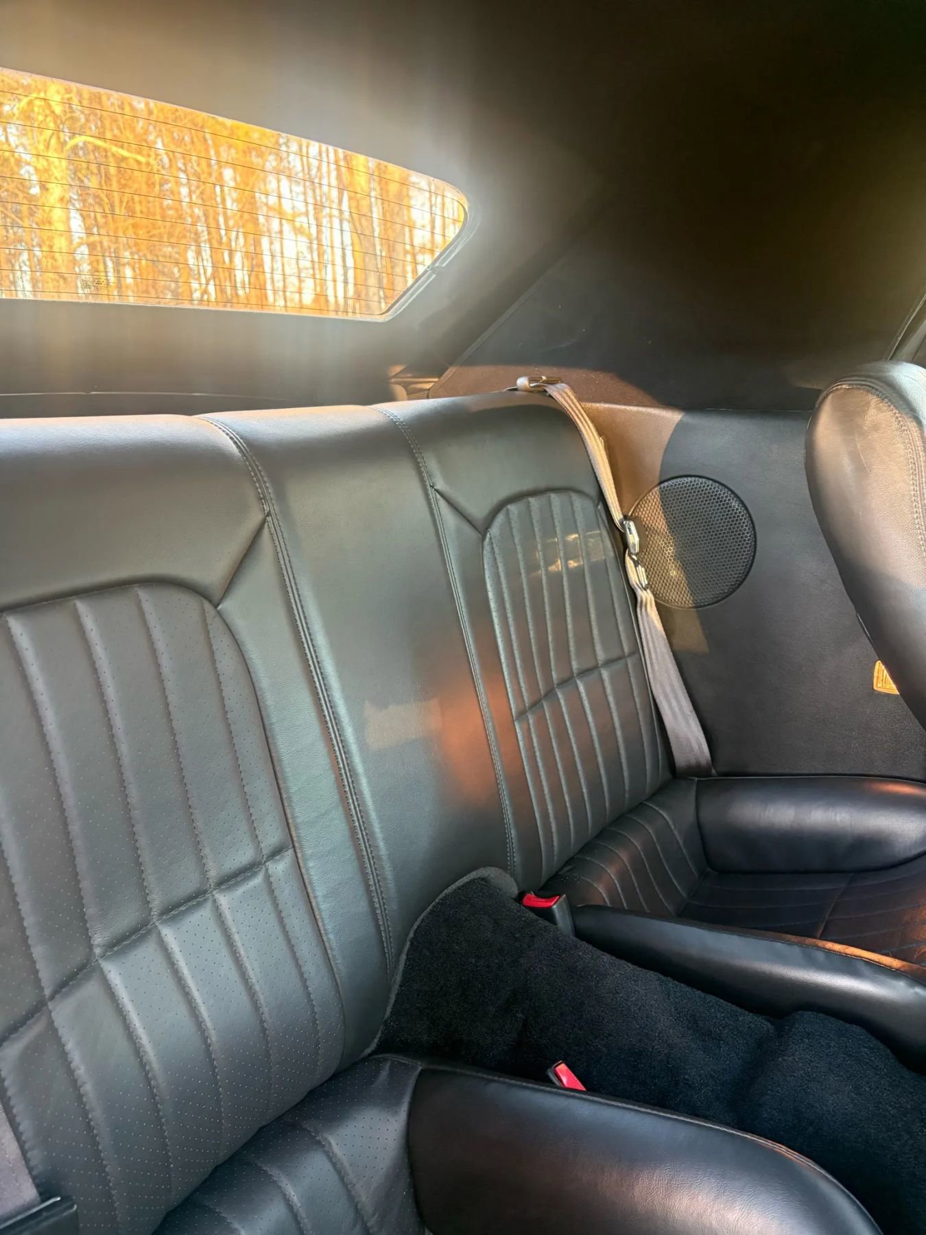 Used 2002 Chevrolet Camaro Z28 w/ Sport Appearance Pkg image 23