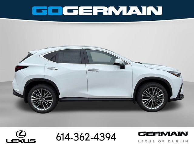 New 2026 Lexus NX 350 AWD w/ Accessory Package (2T) image 5