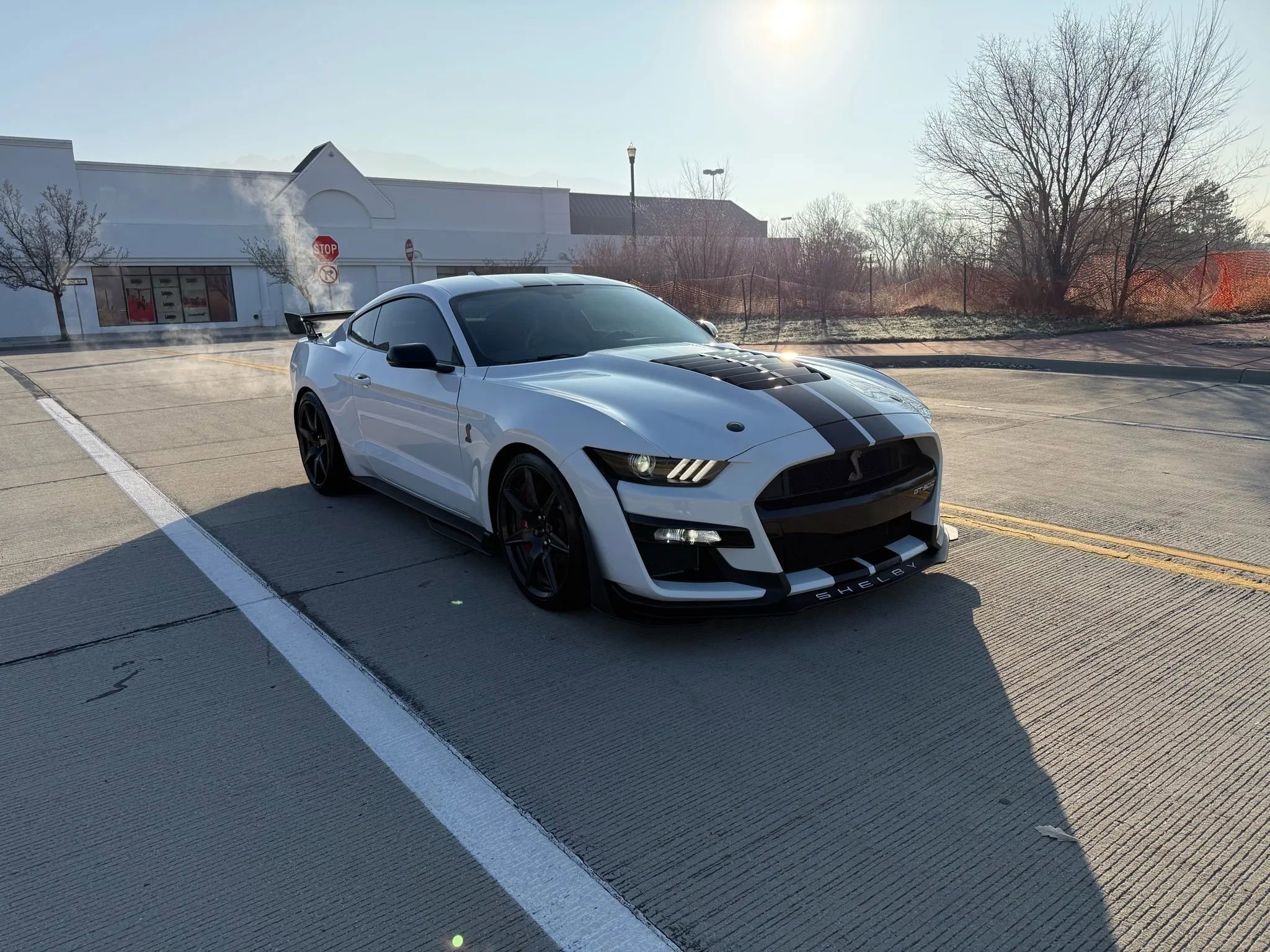 Used 2021 Ford Mustang Shelby GT500 w/ Carbon Fiber Track Pack RWD image 10