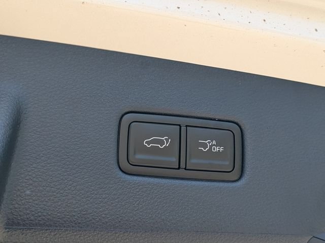 New 2026 Kia Carnival SX Prestige FWD image 15