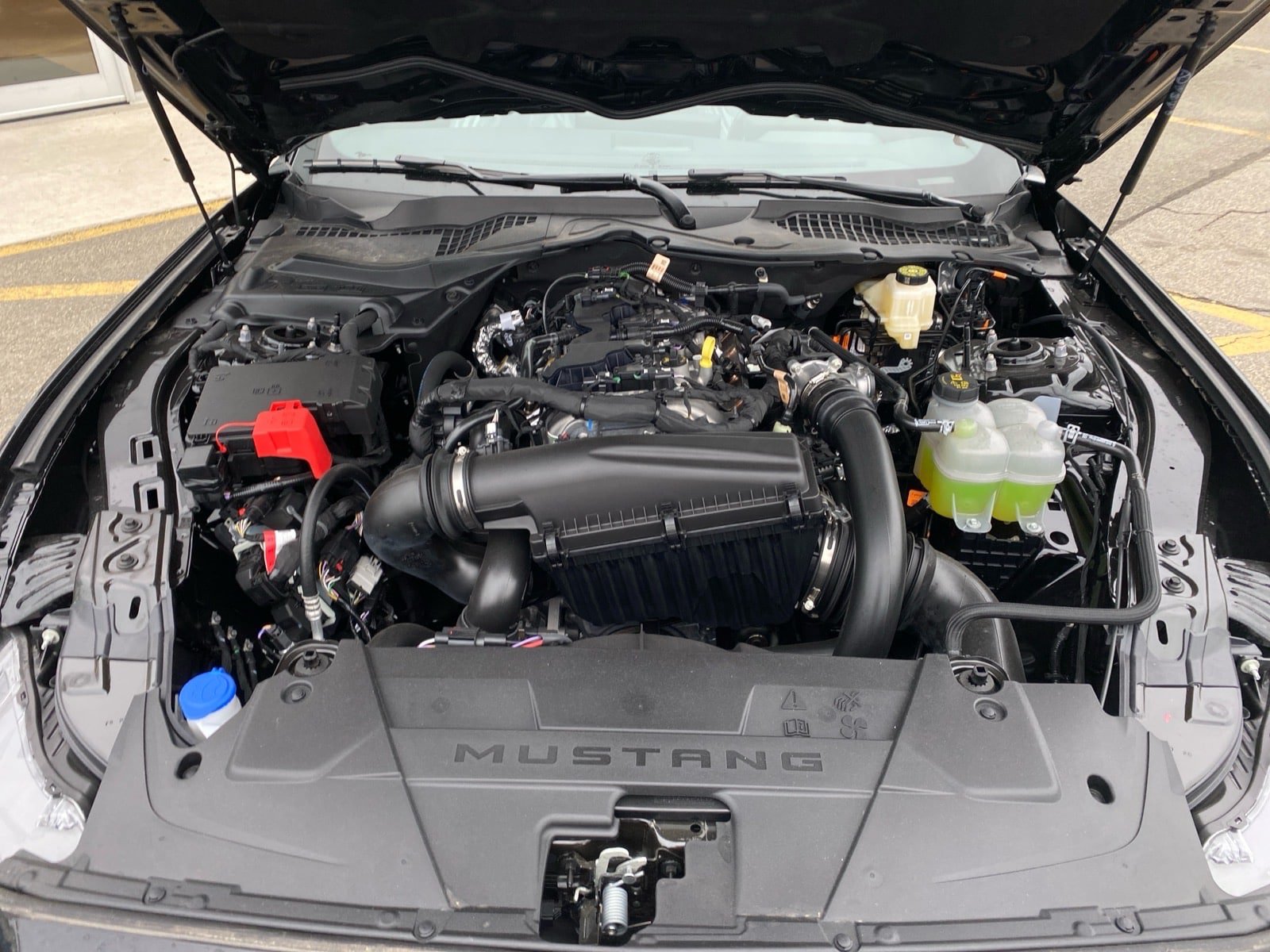 Used 2026 Ford Mustang Premium RWD image 26