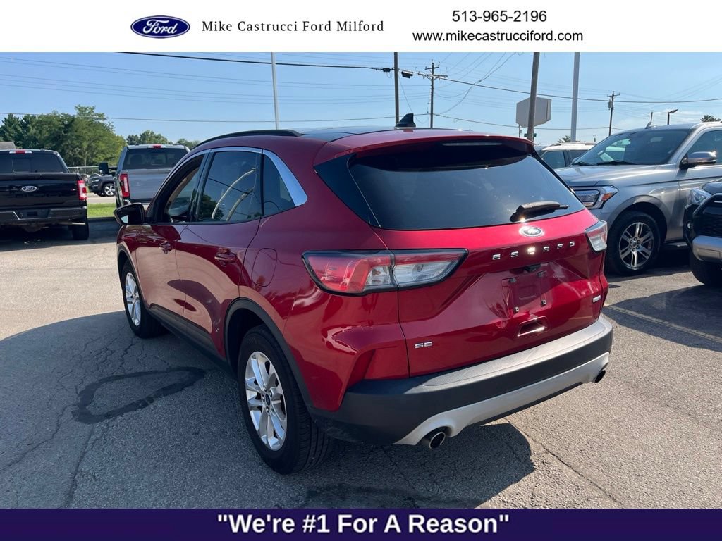 Used 2020 Ford Escape SE AWD/4WD image 5