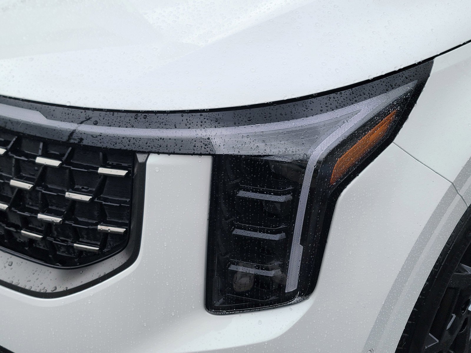 New 2026 Kia Carnival SX Prestige image 11